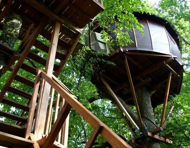 Maya - Ile Aux Sainte-Colombe (Charente-Maritime)